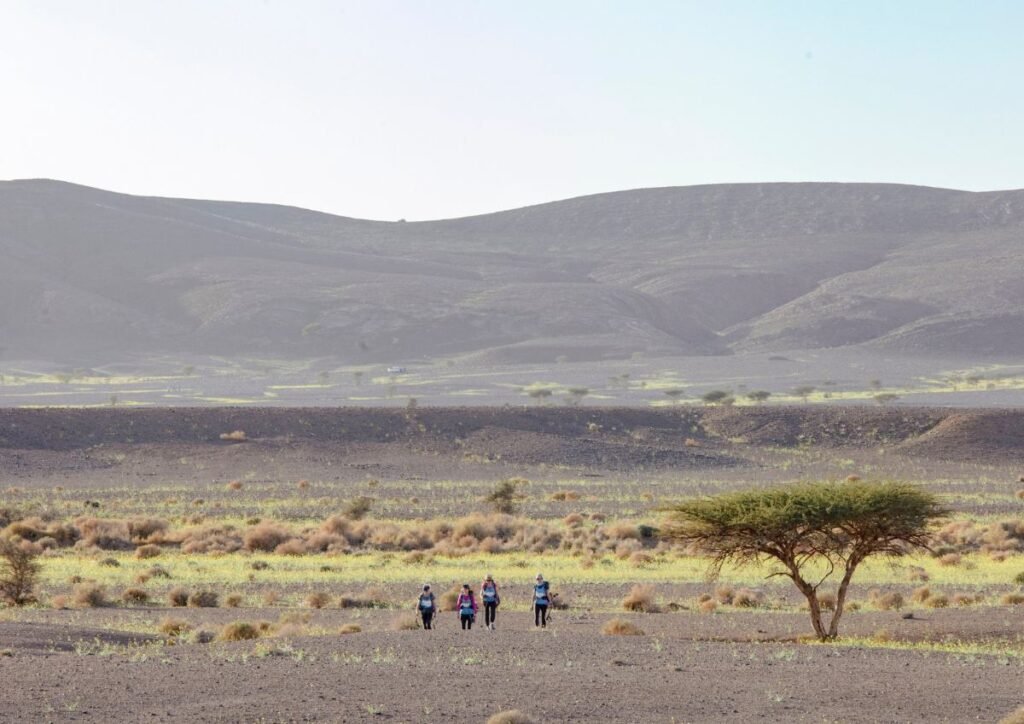 Journey to Marrakech Travel Experiences